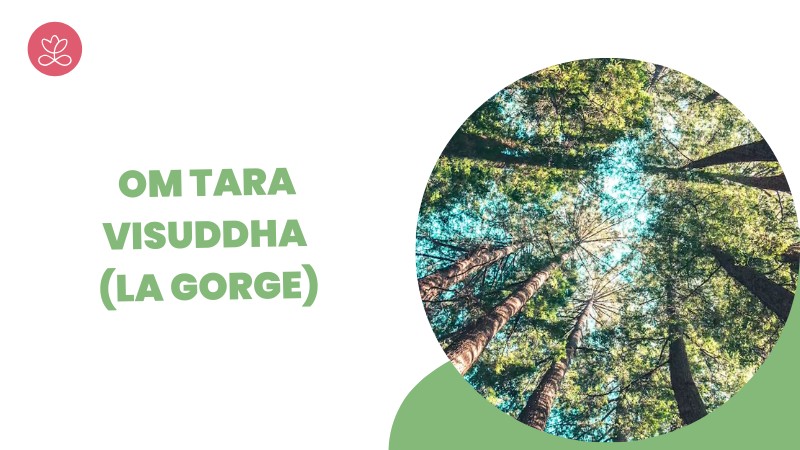Jour 28. Om Tara Visuddha (la gorge) avec Patrick Bernard (7 min)